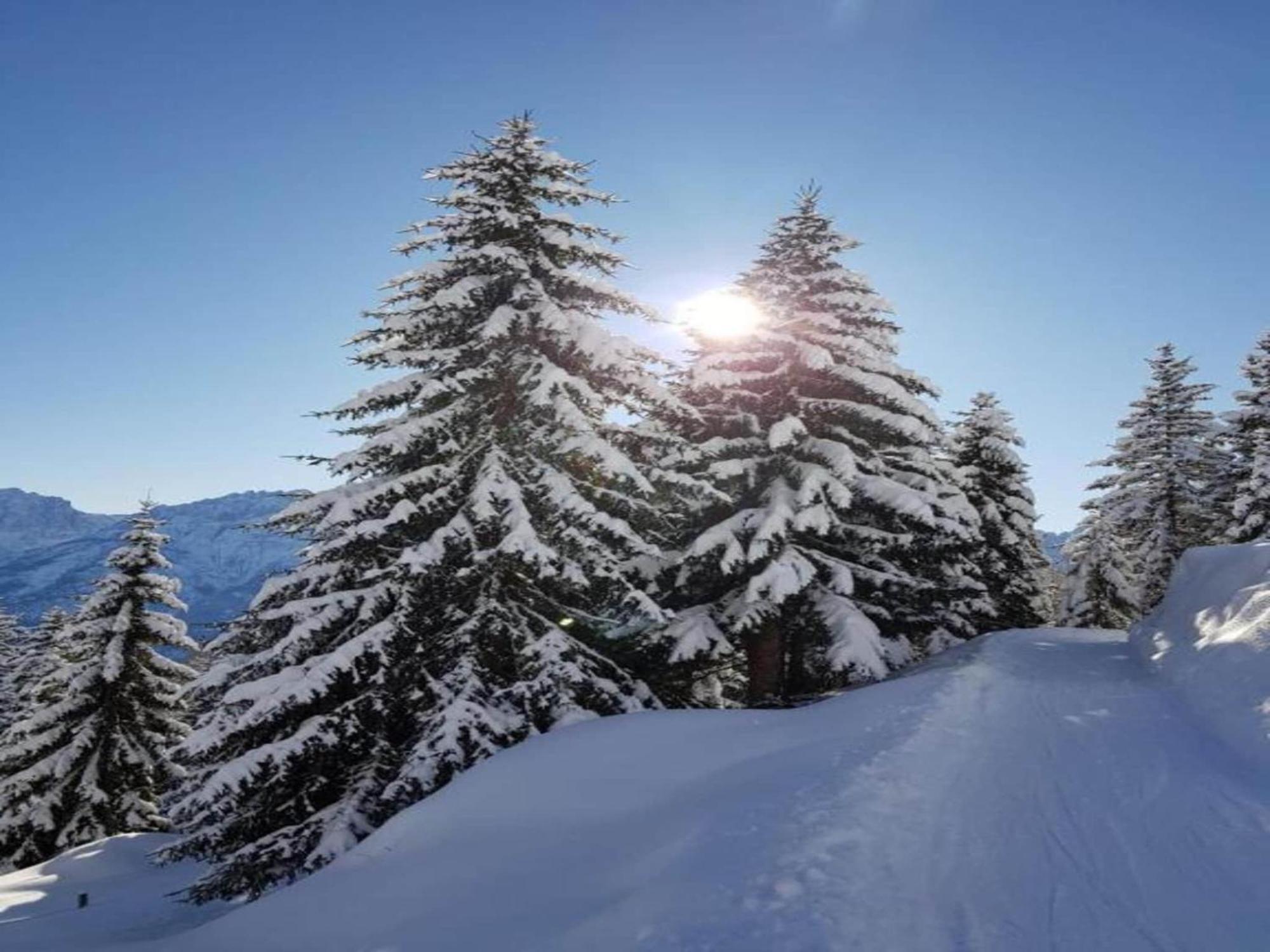 Apartment In W Ngle Tyrol With Walking Trails Near Reutte Exteriör bild