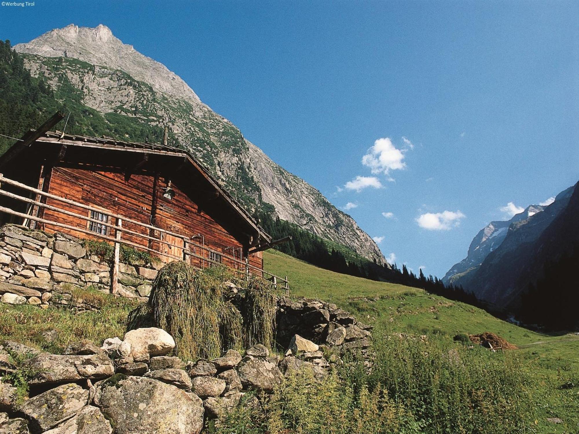 Apartment In W Ngle Tyrol With Walking Trails Near Reutte Exteriör bild