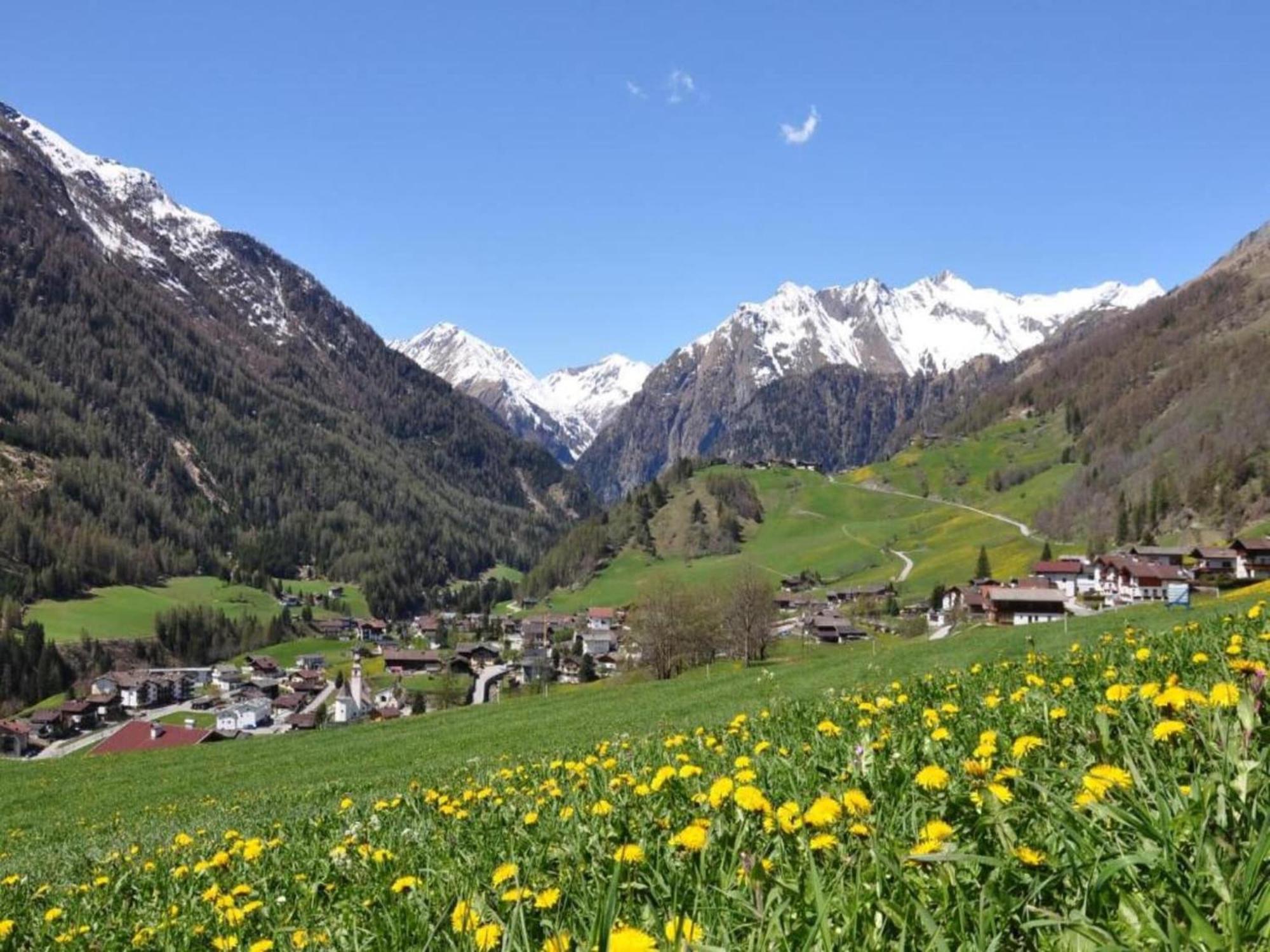 Apartment In W Ngle Tyrol With Walking Trails Near Reutte Exteriör bild