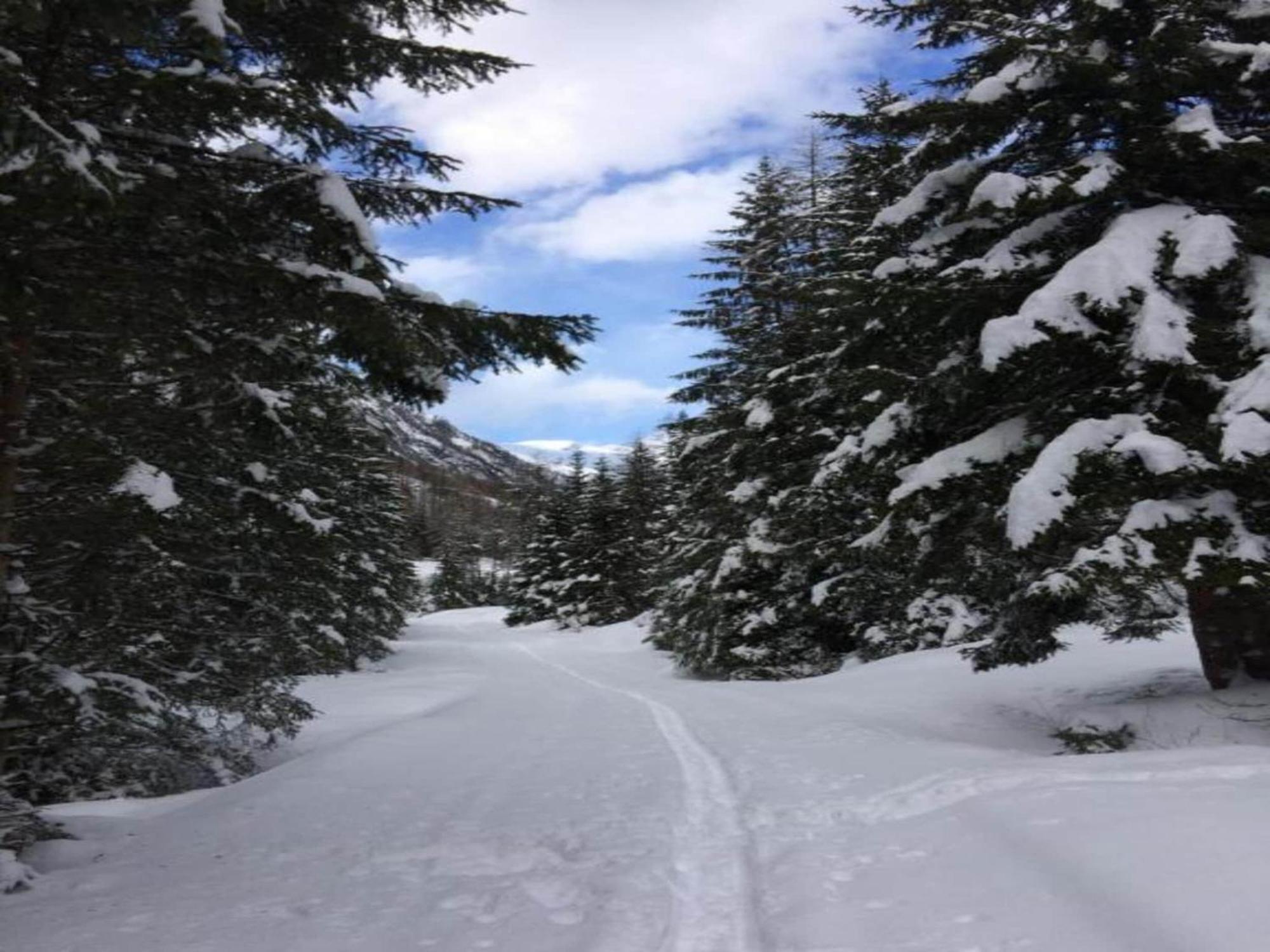 Apartment In W Ngle Tyrol With Walking Trails Near Reutte Exteriör bild